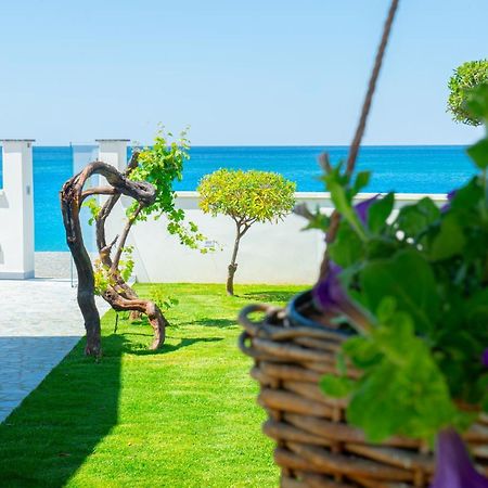 Mbaccimari B&B Cetraro Εξωτερικό φωτογραφία