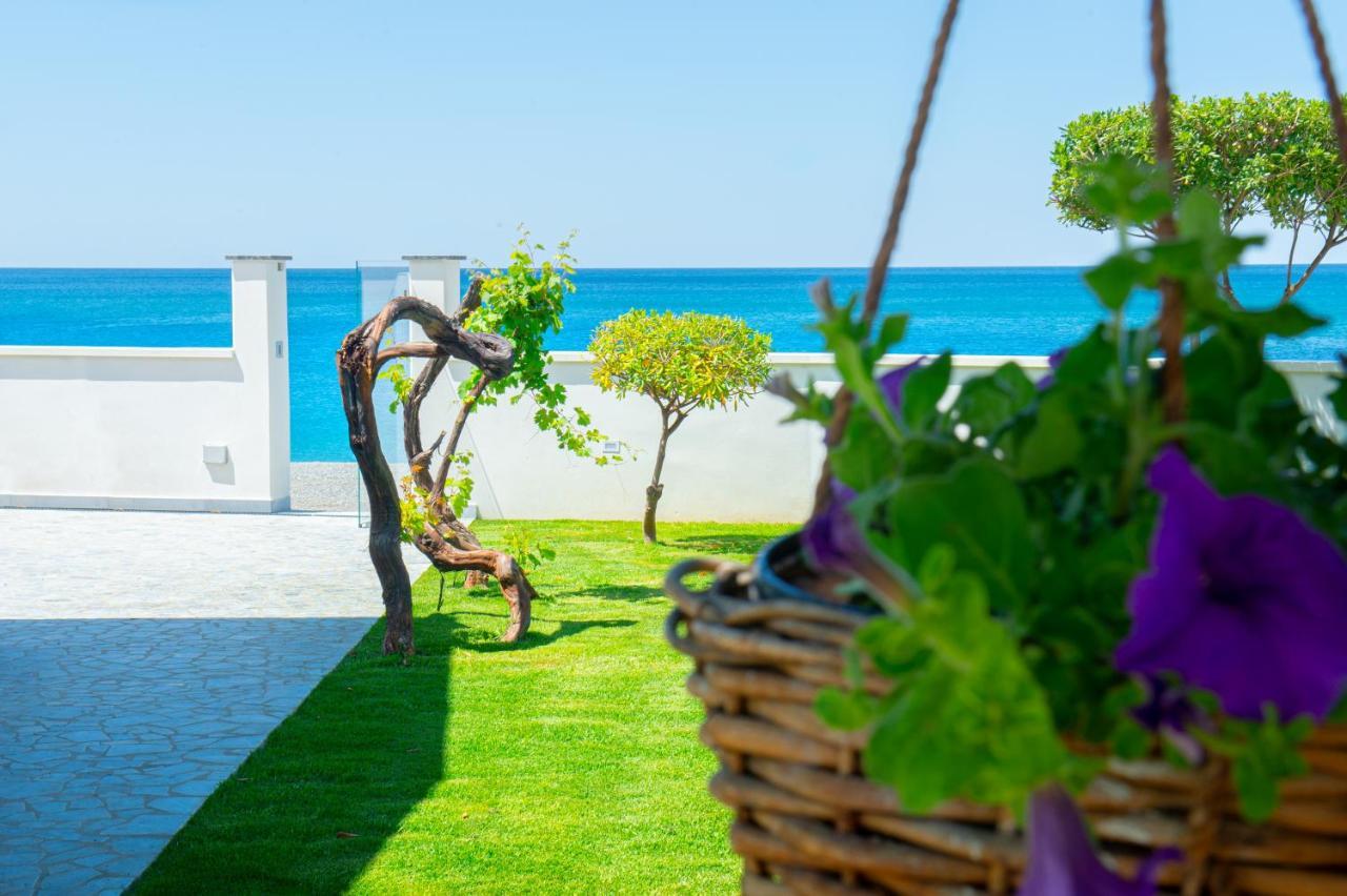 Mbaccimari B&B Cetraro Εξωτερικό φωτογραφία