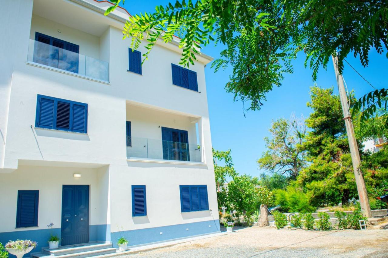 Mbaccimari B&B Cetraro Εξωτερικό φωτογραφία